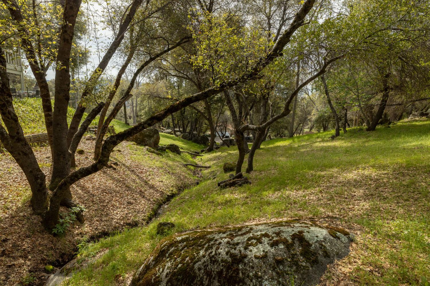 51739 Quail Run Dr, Oakhurst, CA 93644