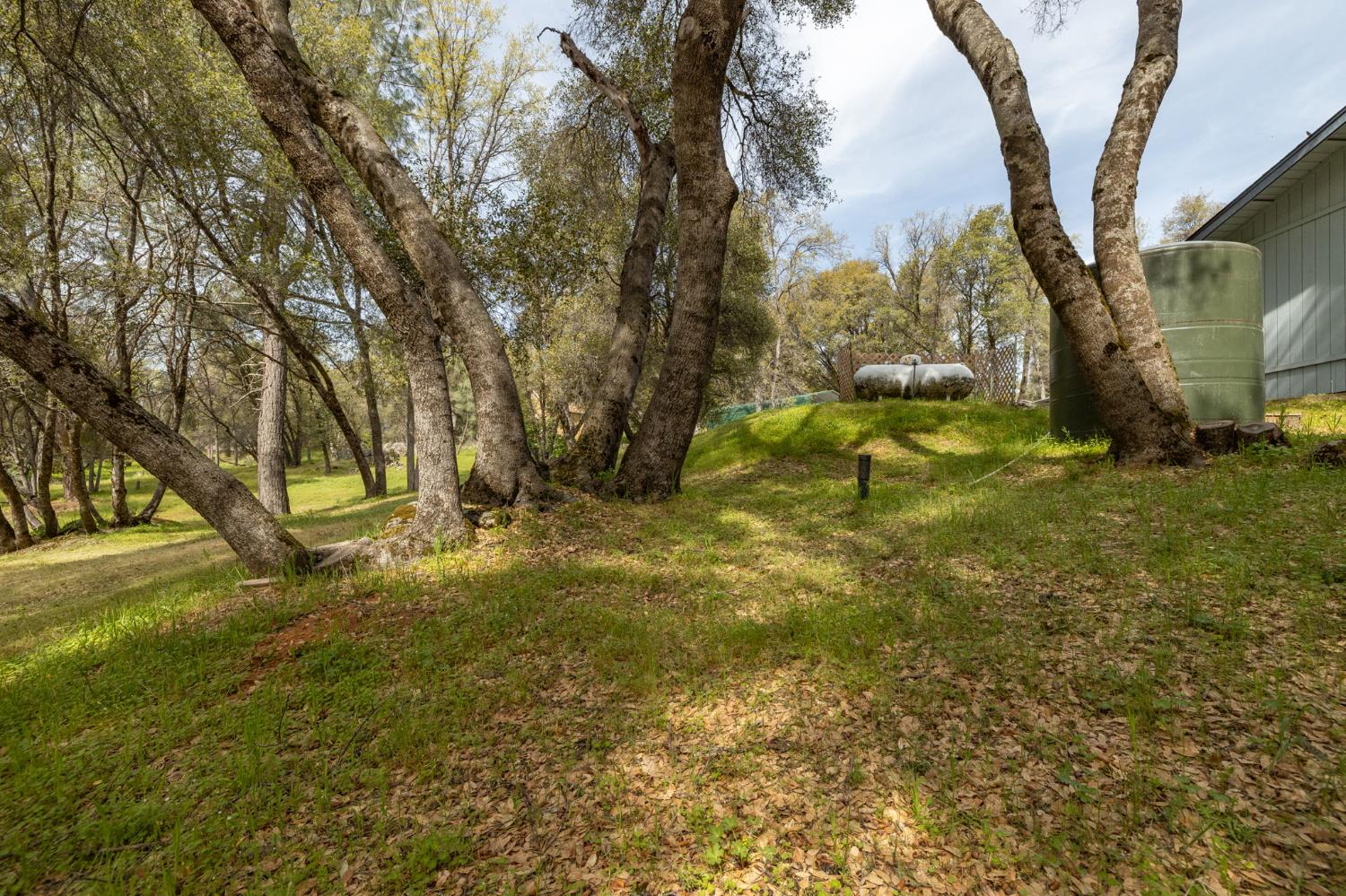 51739 Quail Run Dr, Oakhurst, CA 93644