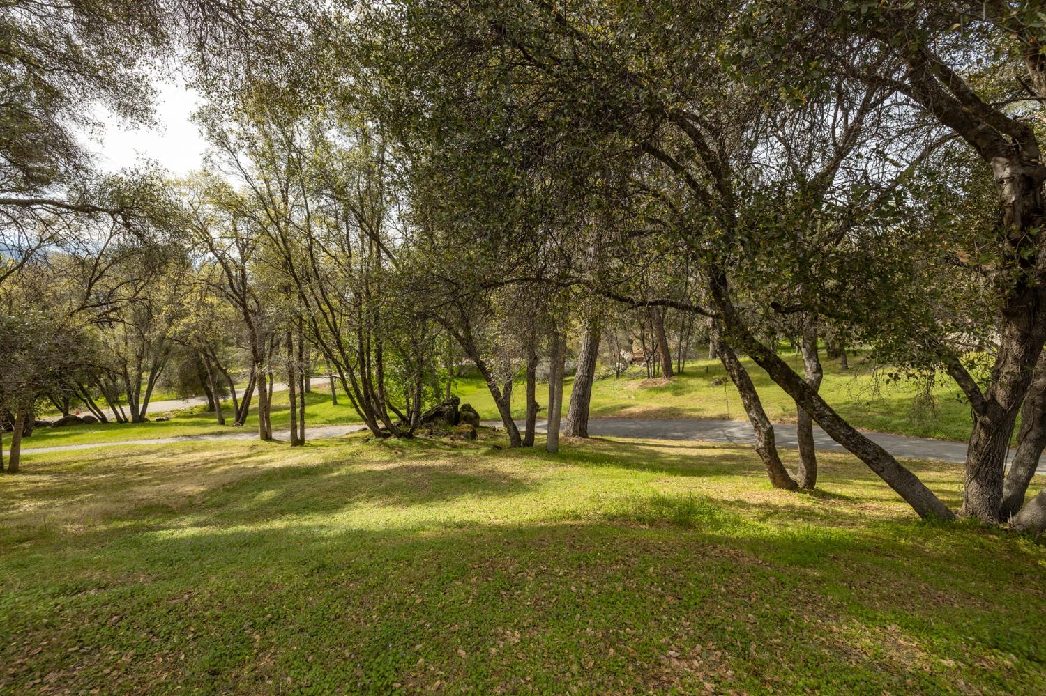 51739 Quail Run Dr, Oakhurst, CA 93644