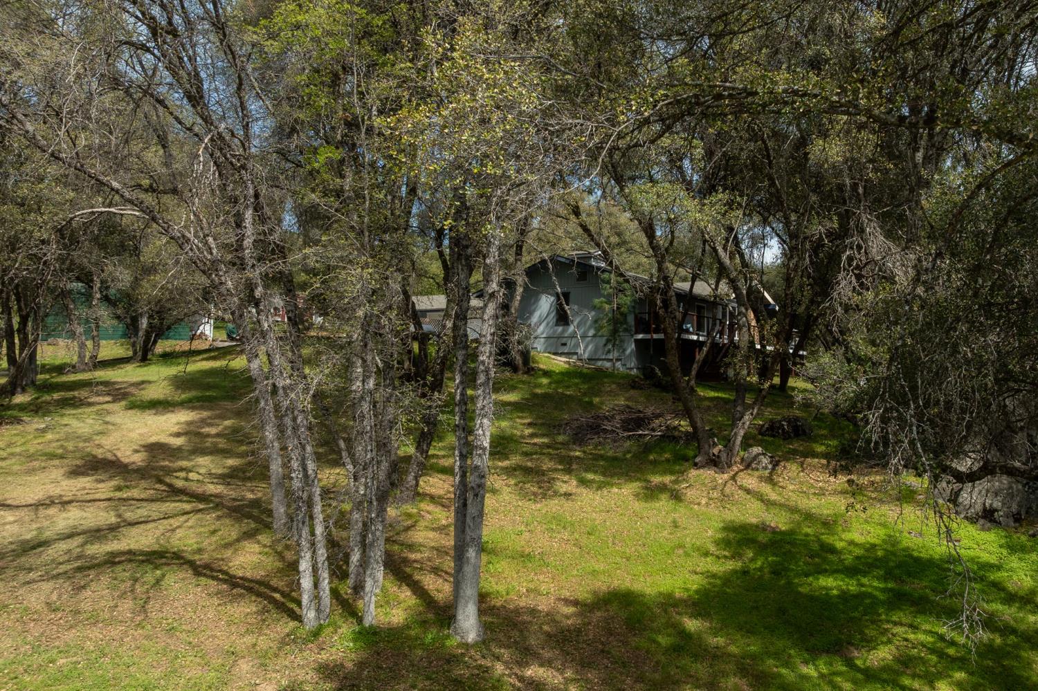 51739 Quail Run Dr, Oakhurst, CA 93644