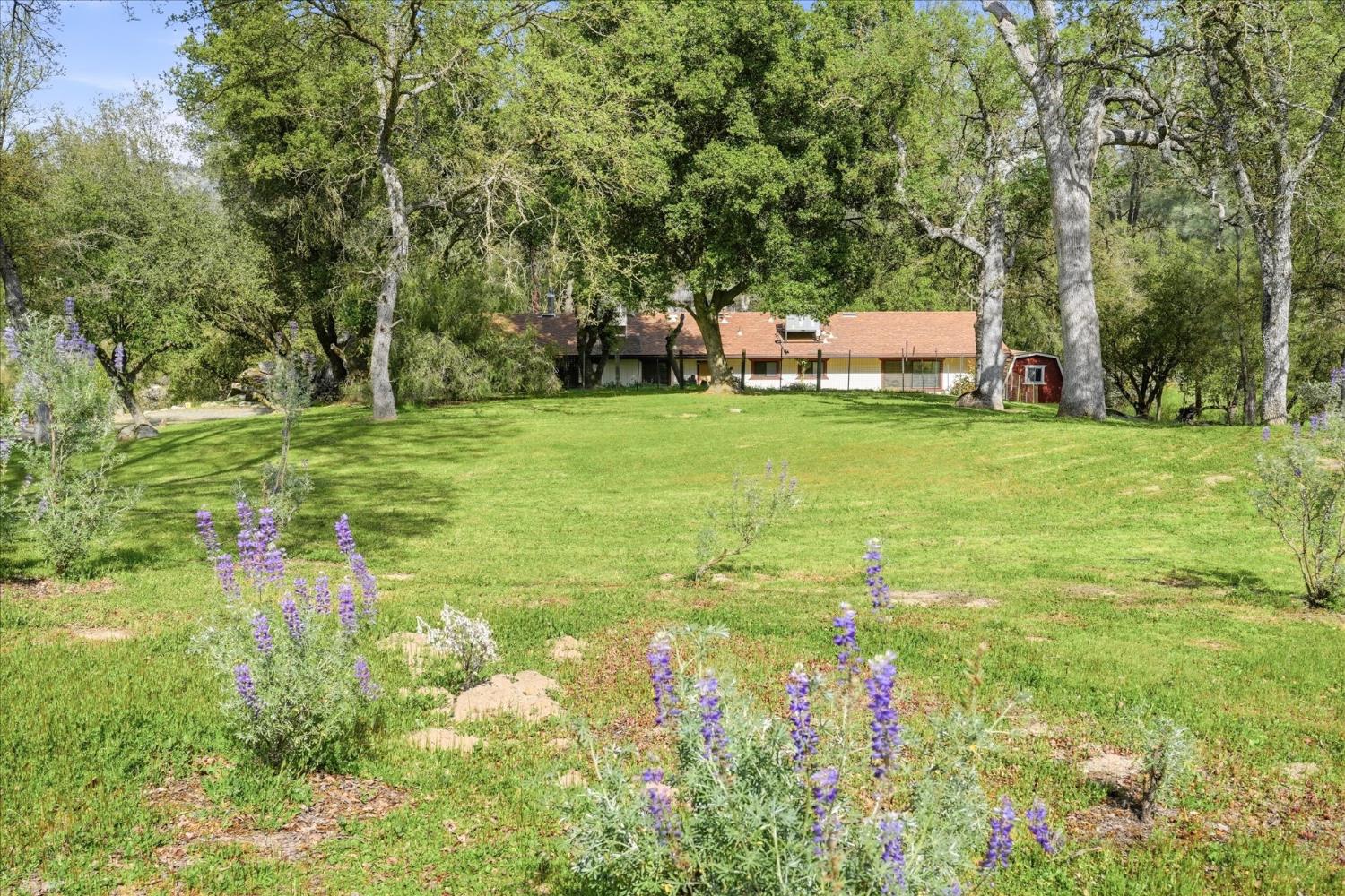 28911 GRAY SQUIRREL, Coarsegold, CA 93614