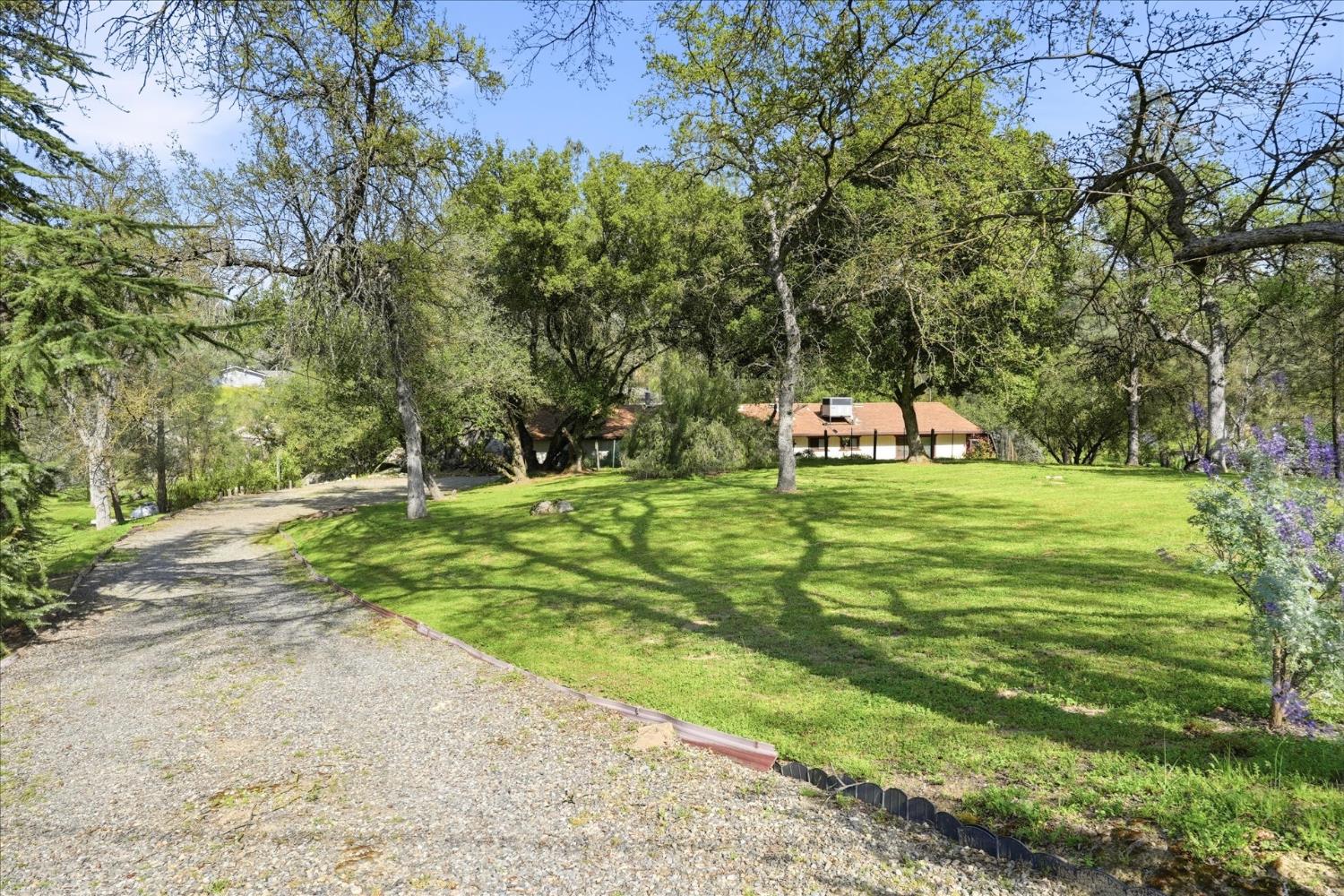 28911 GRAY SQUIRREL, Coarsegold, CA 93614