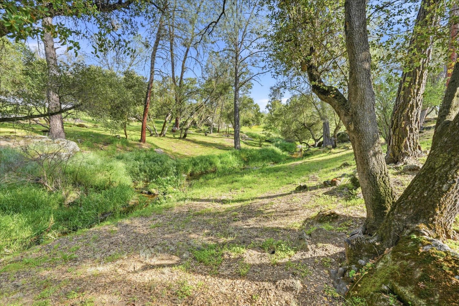 28911 GRAY SQUIRREL, Coarsegold, CA 93614