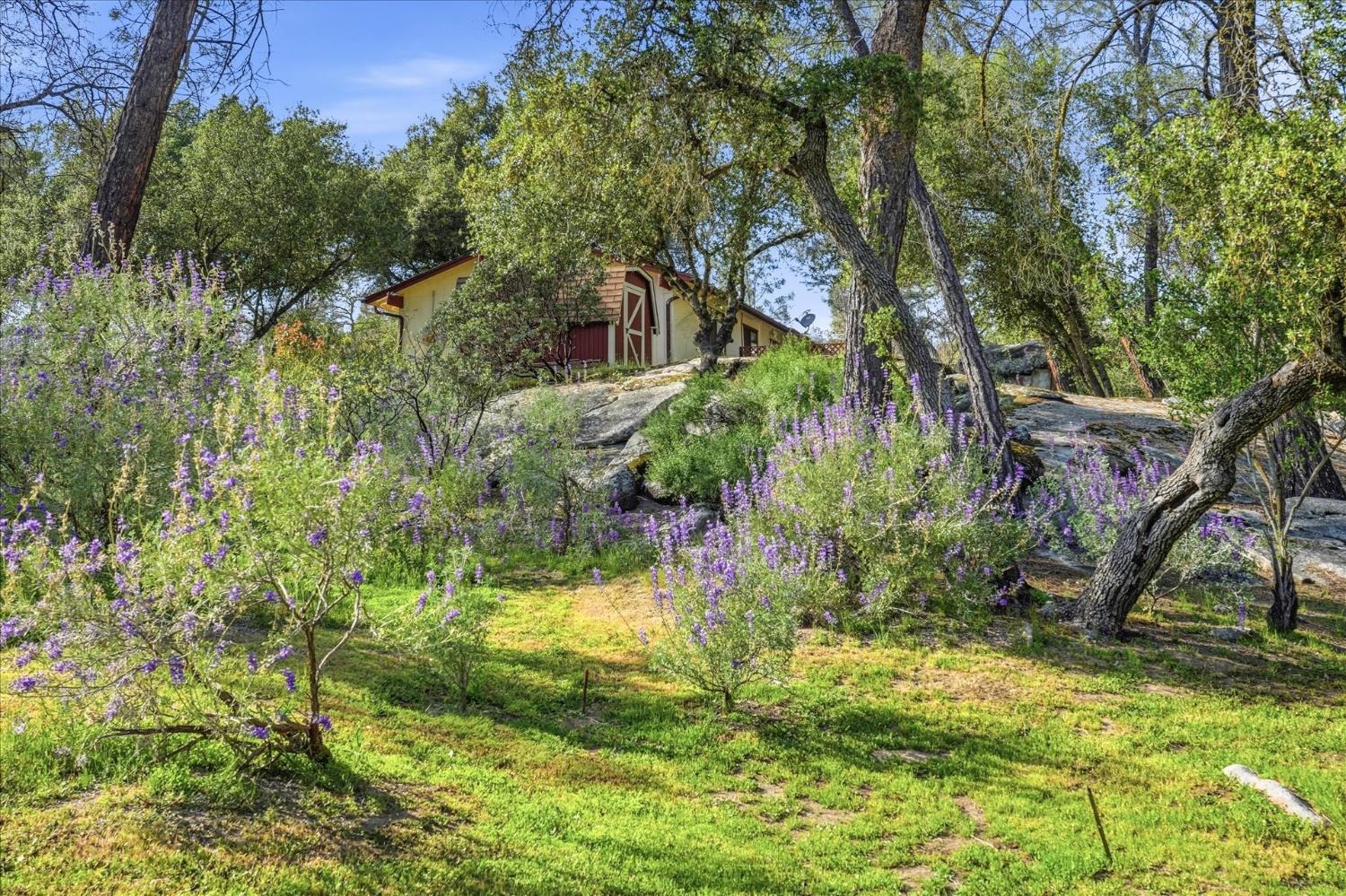 28911 GRAY SQUIRREL, Coarsegold, CA 93614