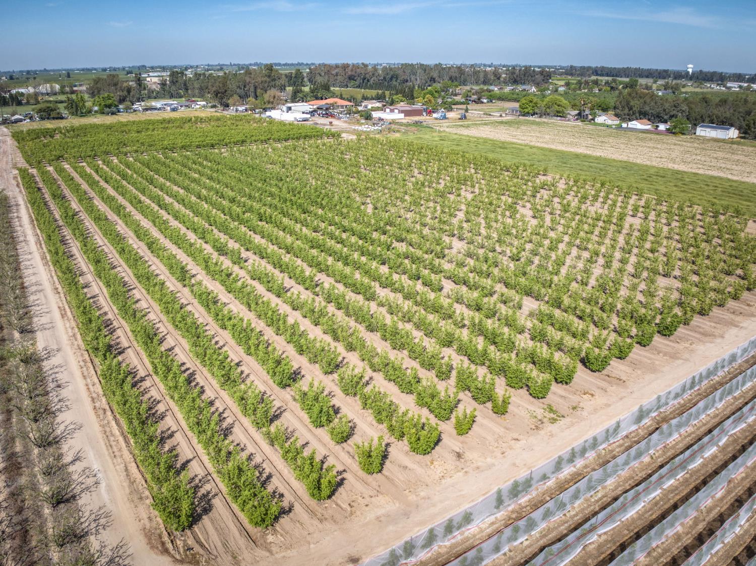 42682 Road 72, Dinuba, CA 93618