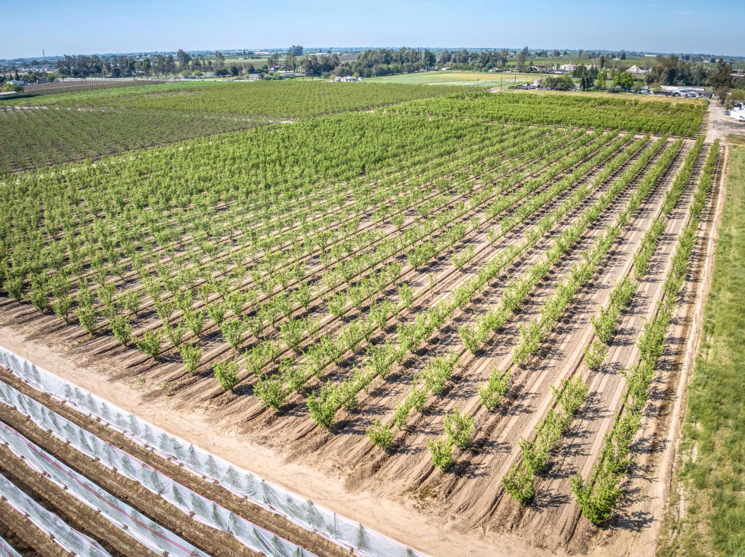 42682 Road 72, Dinuba, CA 93618