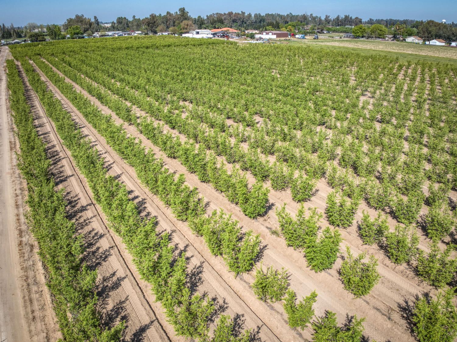 42682 Road 72, Dinuba, CA 93618