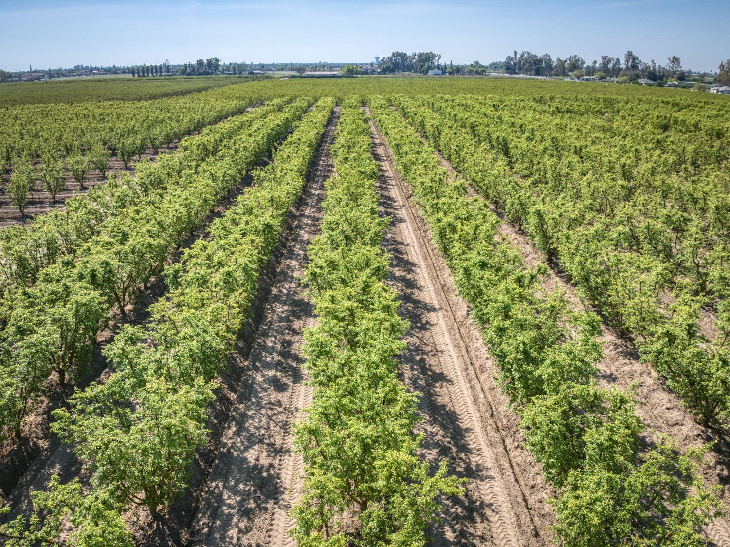 42682 Road 72, Dinuba, CA 93618