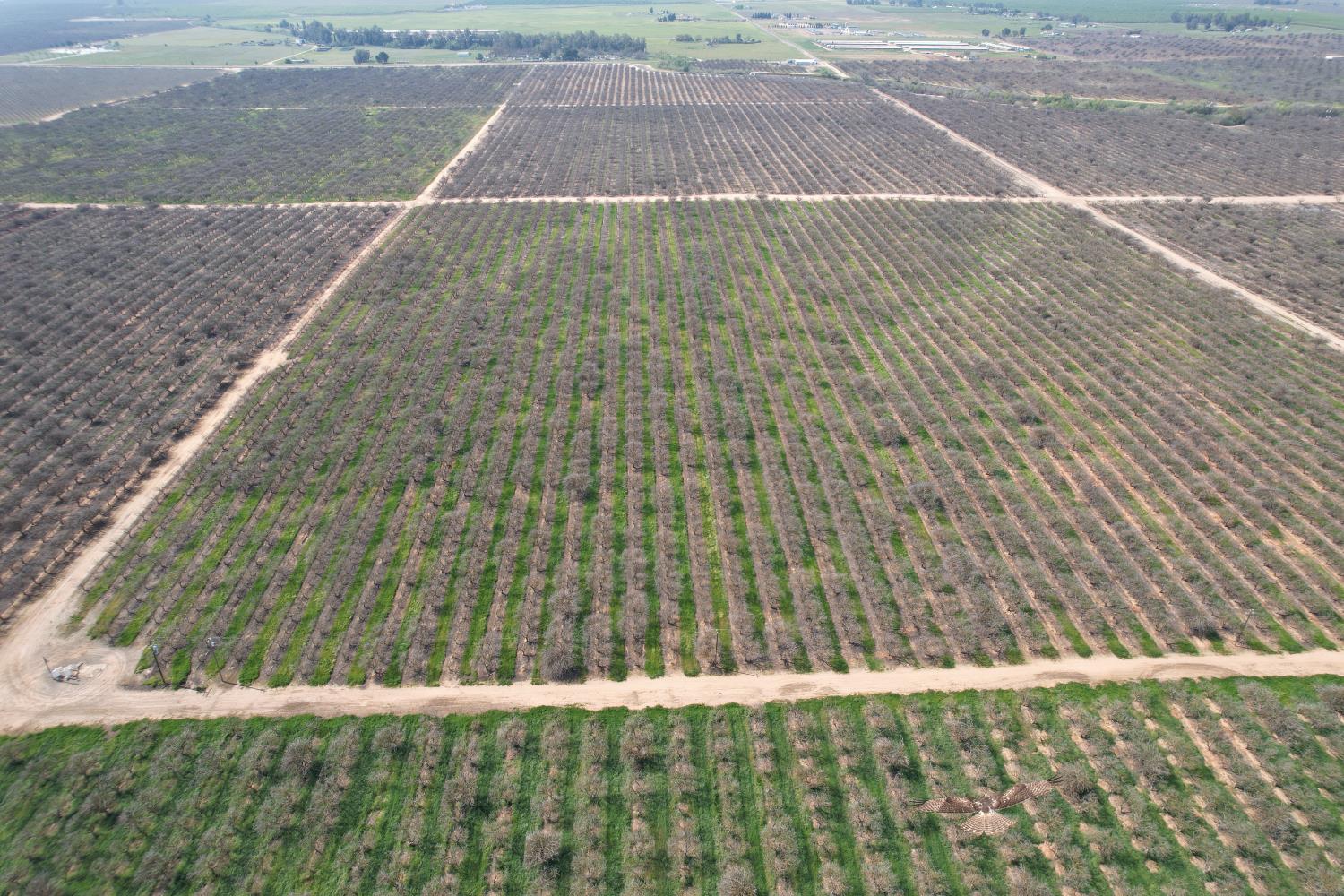 0 0 Ave 20 1/2, Madera, CA 93638