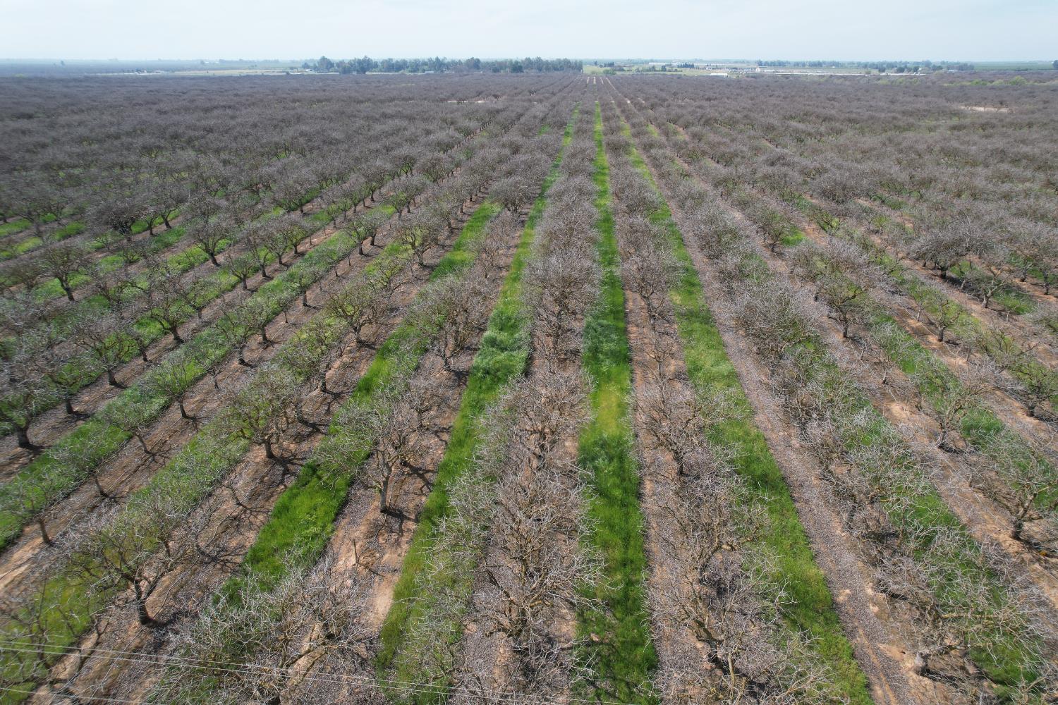 0 0 Ave 20 1/2, Madera, CA 93638