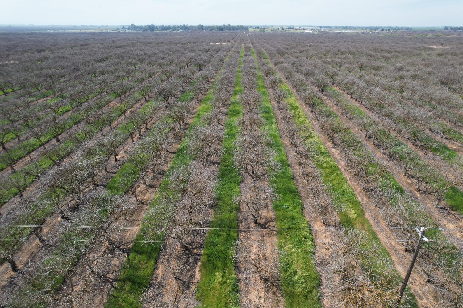 0 0 Ave 20 1/2, Madera, CA 93638