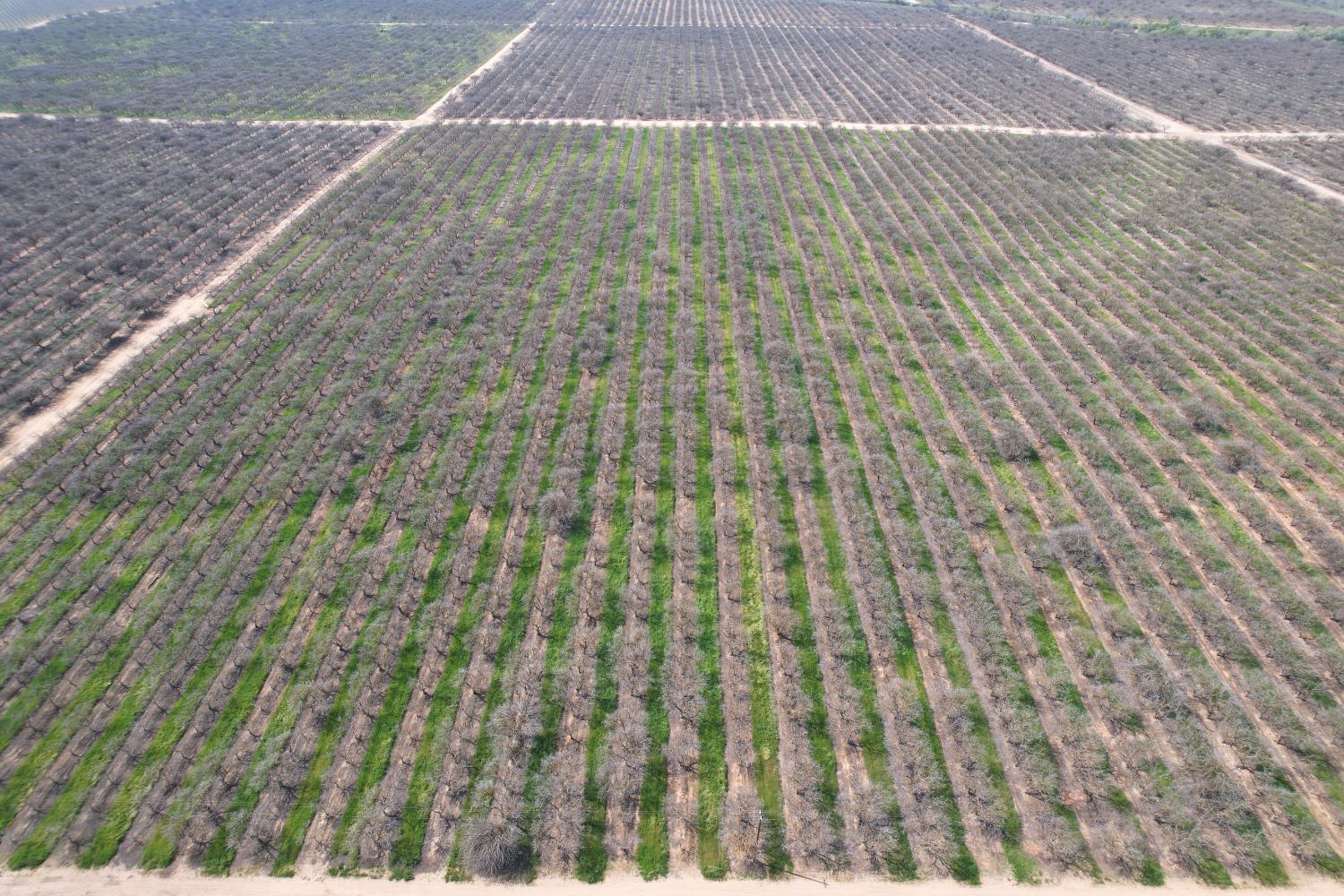 0 0 Ave 20 1/2, Madera, CA 93638