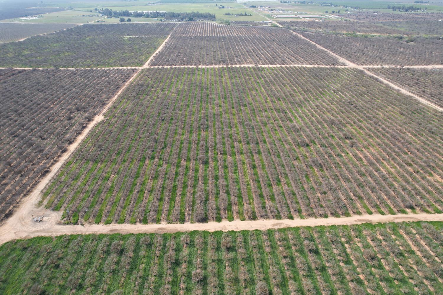 0 0 Ave 20 1/2, Madera, CA 93638