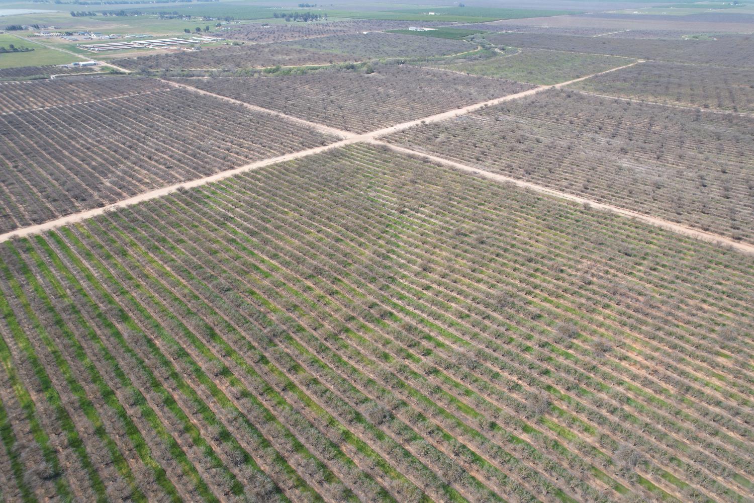 0 0 Ave 20 1/2, Madera, CA 93638