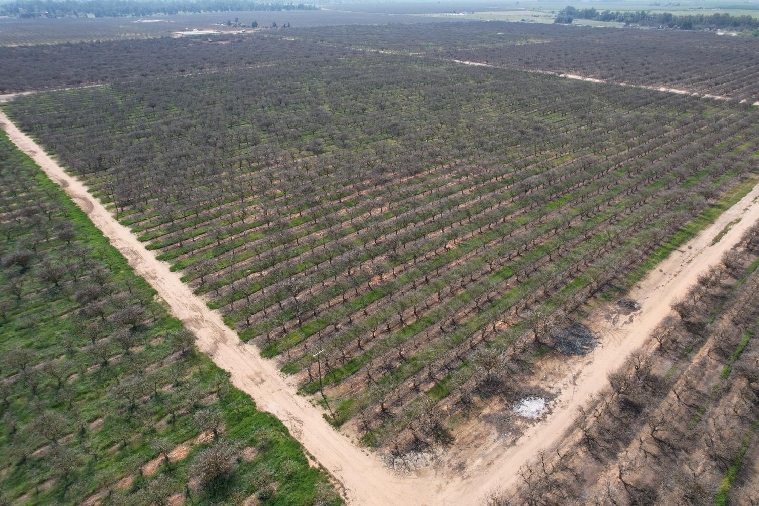 0 0 Ave 20 1/2, Madera, CA 93638