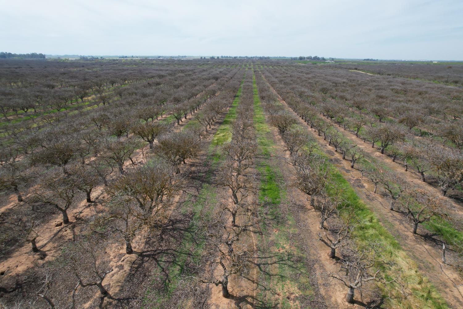 0 0 Ave 20 1/2, Madera, CA 93638