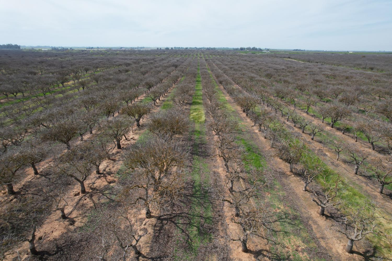 0 0 Ave 20 1/2, Madera, CA 93638