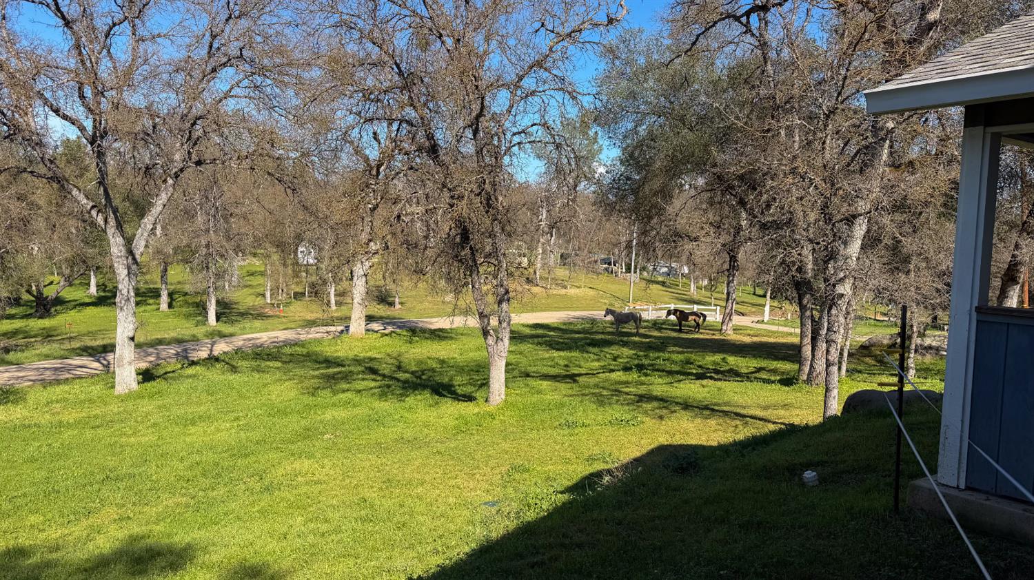 4421 Scrubby Oak Dr, Mariposa, CA 95338