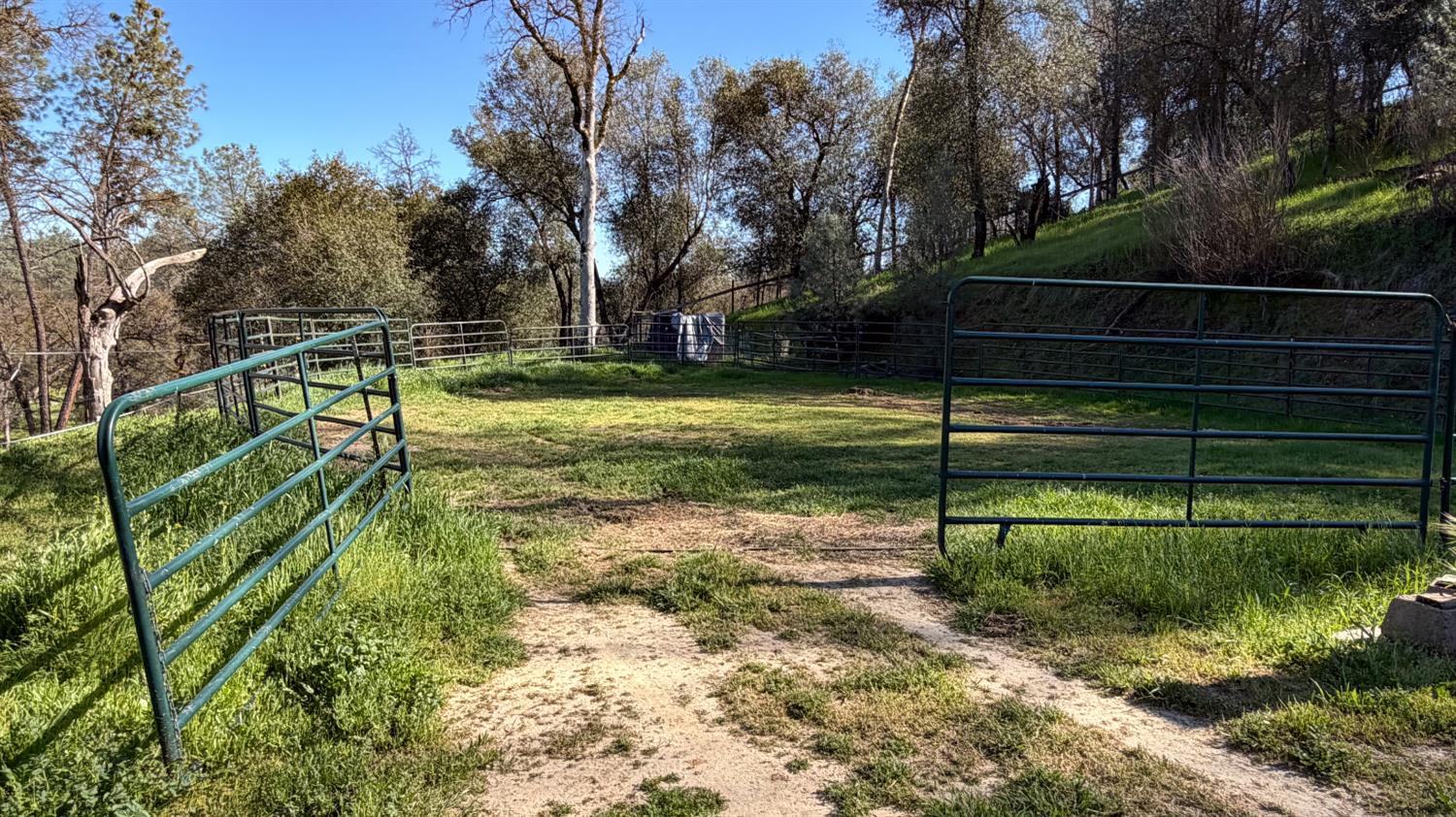 4421 Scrubby Oak Dr, Mariposa, CA 95338