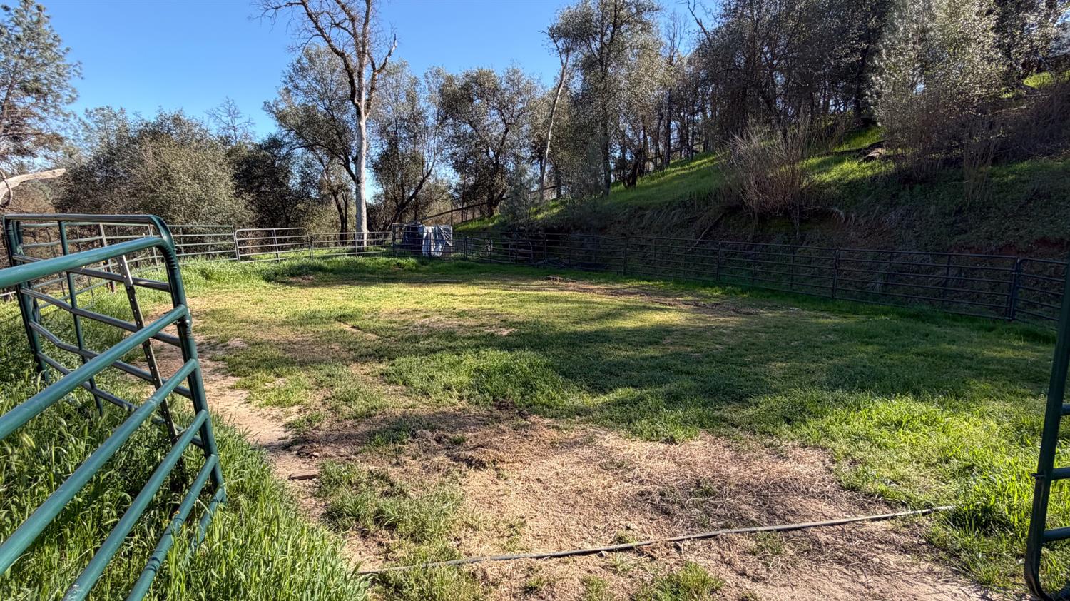 4421 Scrubby Oak Dr, Mariposa, CA 95338