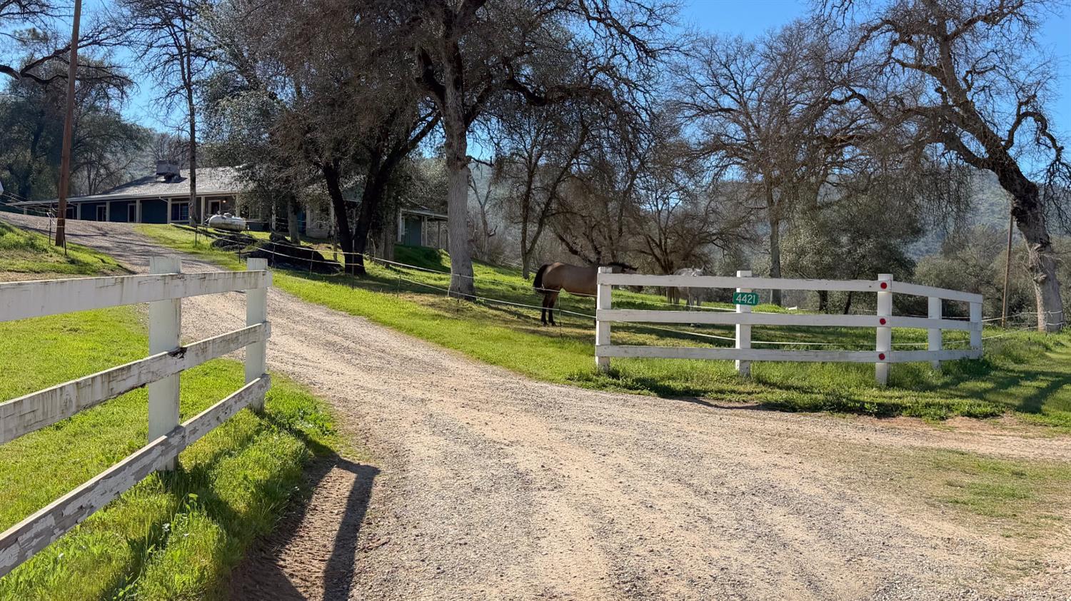 4421 Scrubby Oak Dr, Mariposa, CA 95338