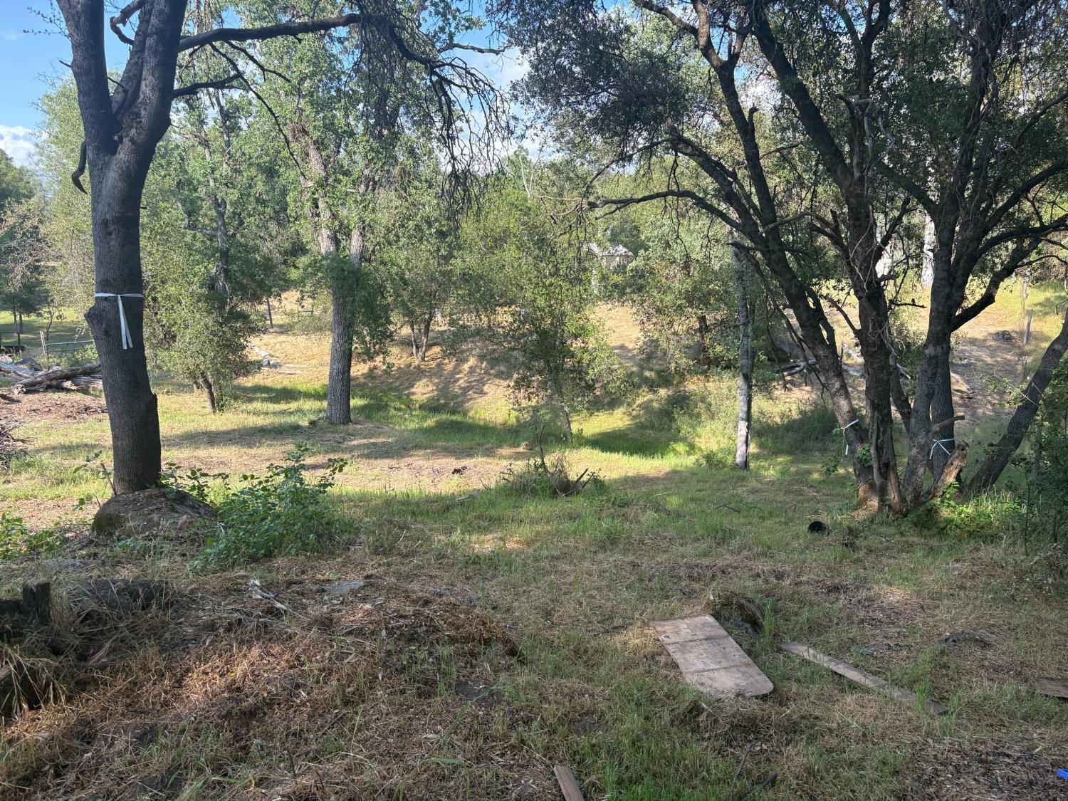 507 LOT Chickasaw Rd, Coarsegold, CA 93614