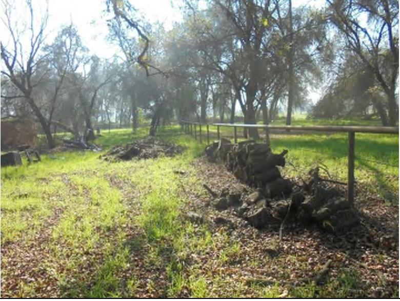 1000 S Rainbow Route, Sanger, CA 93657