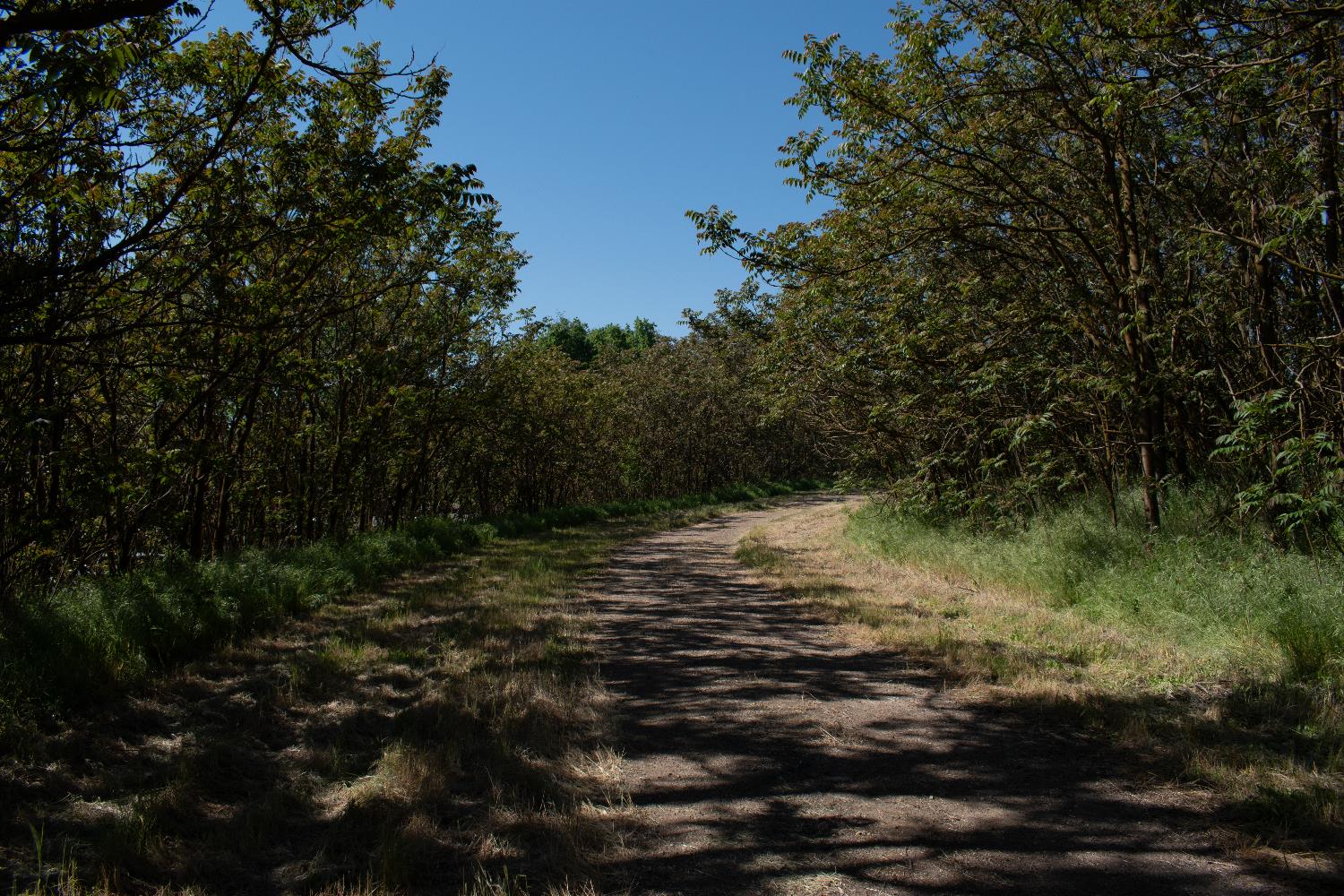 1000 S Rainbow Route, Sanger, CA 93657