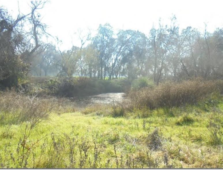 1000 S Rainbow Route, Sanger, CA 93657