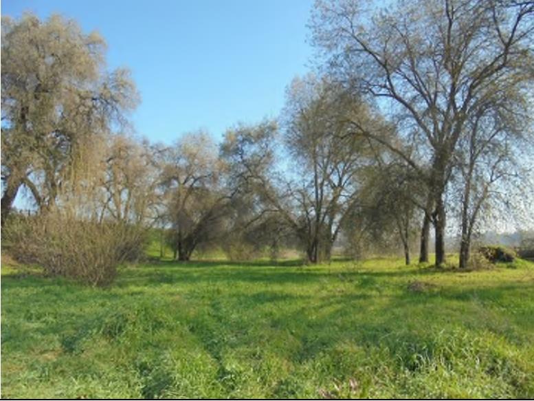 1000 S Rainbow Route, Sanger, CA 93657