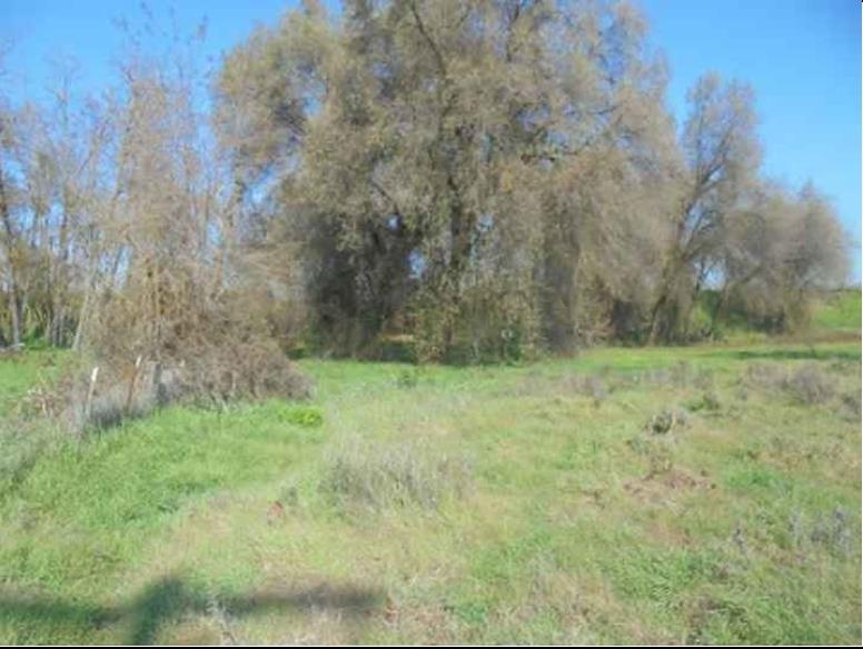 1000 S Rainbow Route, Sanger, CA 93657