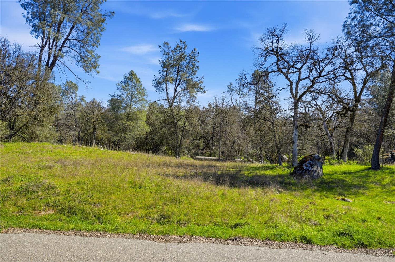 4260 Burl Dr, Mariposa, CA 95338
