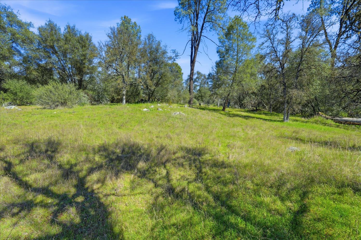4260 Burl Dr, Mariposa, CA 95338
