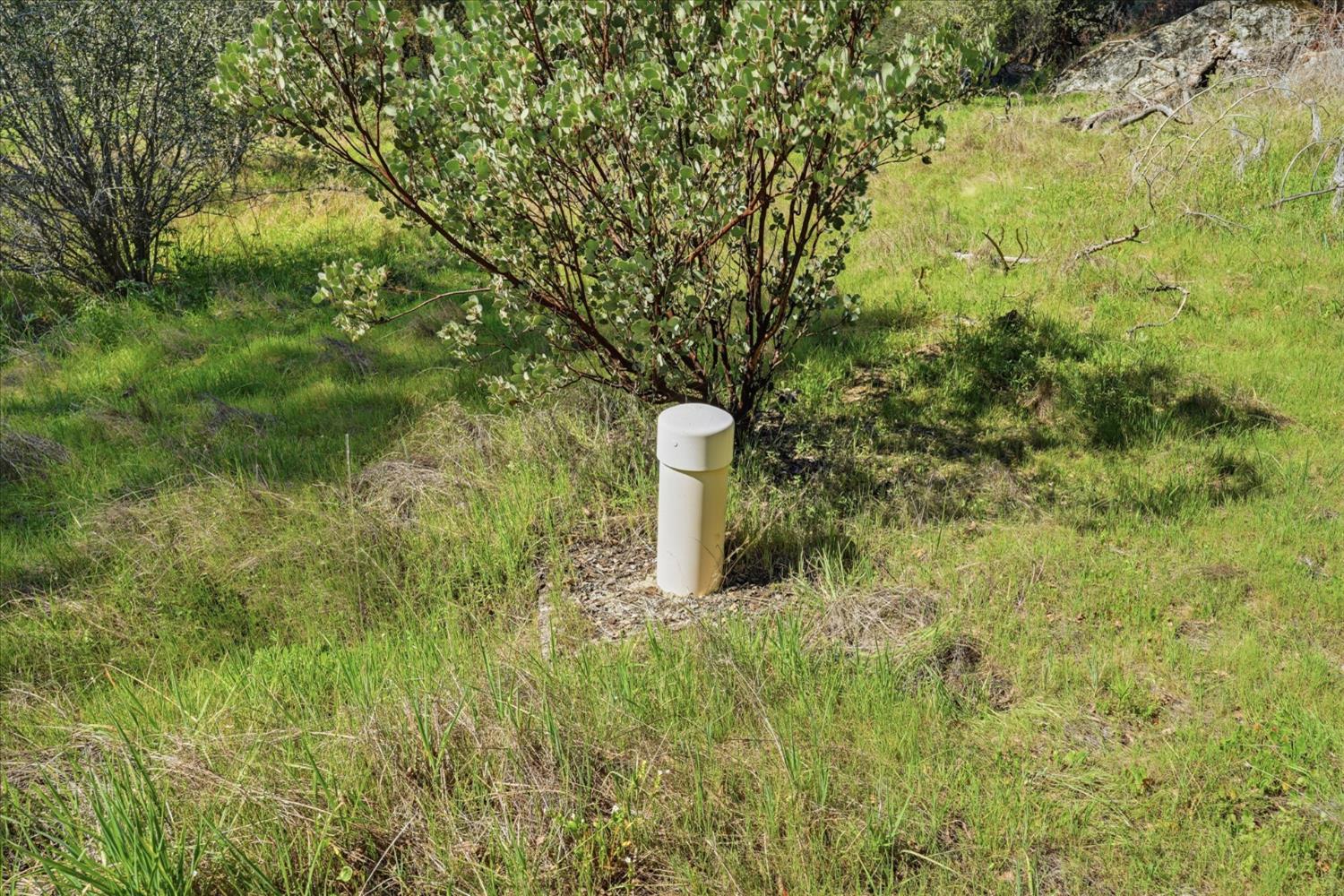 4260 Burl Dr, Mariposa, CA 95338