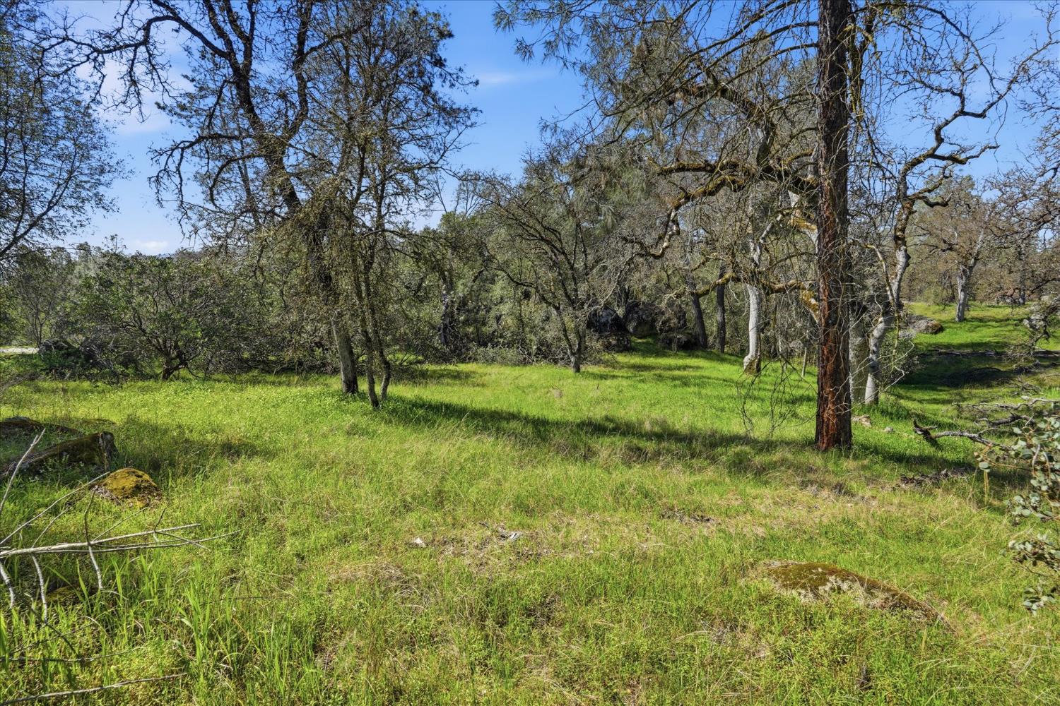 4260 Burl Dr, Mariposa, CA 95338