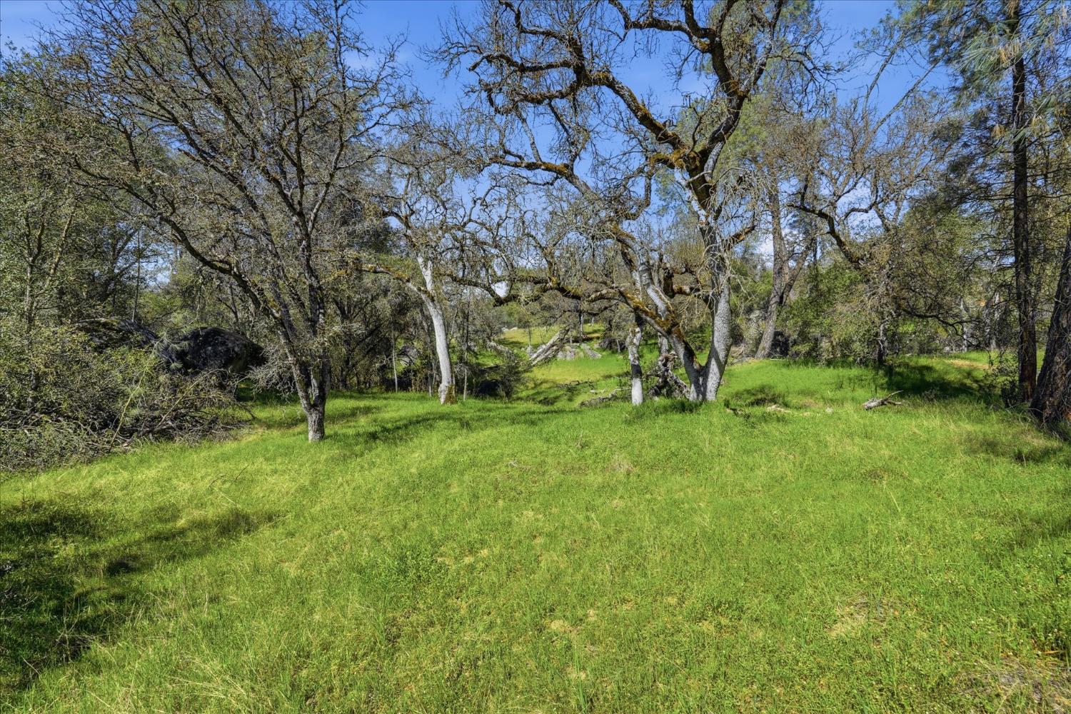 4260 Burl Dr, Mariposa, CA 95338