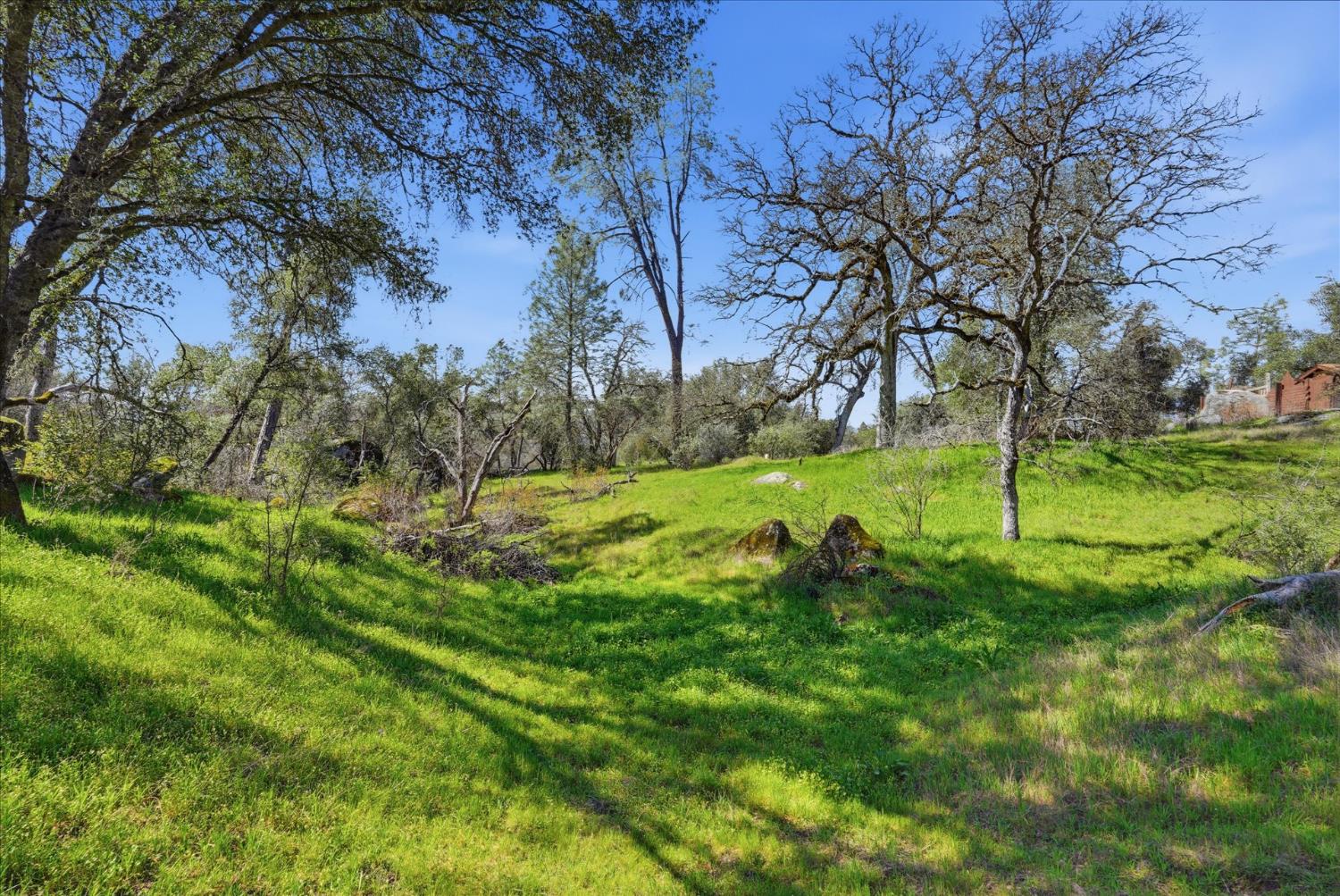 4260 Burl Dr, Mariposa, CA 95338