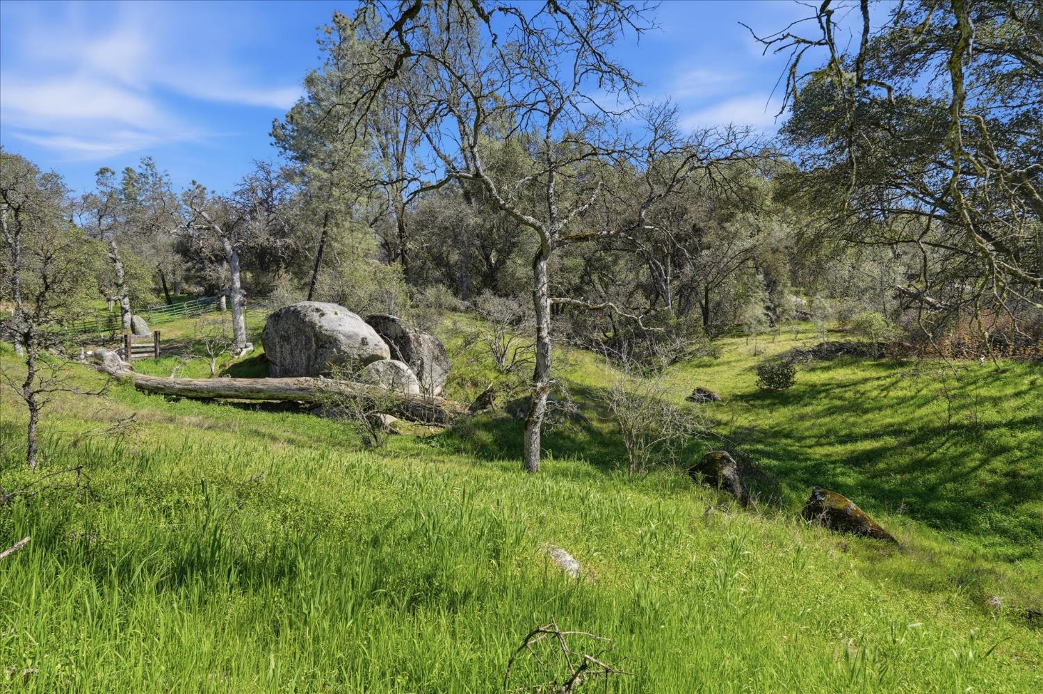 4260 Burl Dr, Mariposa, CA 95338