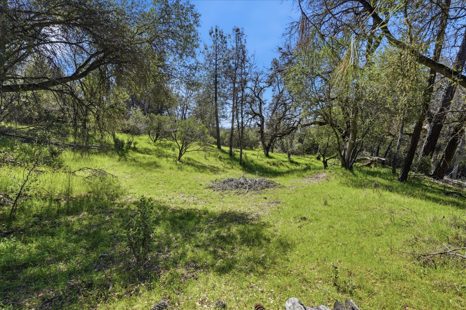 4260 Burl Dr, Mariposa, CA 95338