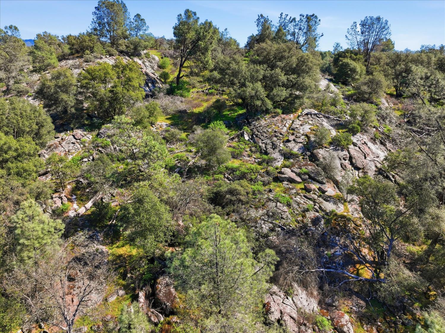 4260 Burl Dr, Mariposa, CA 95338