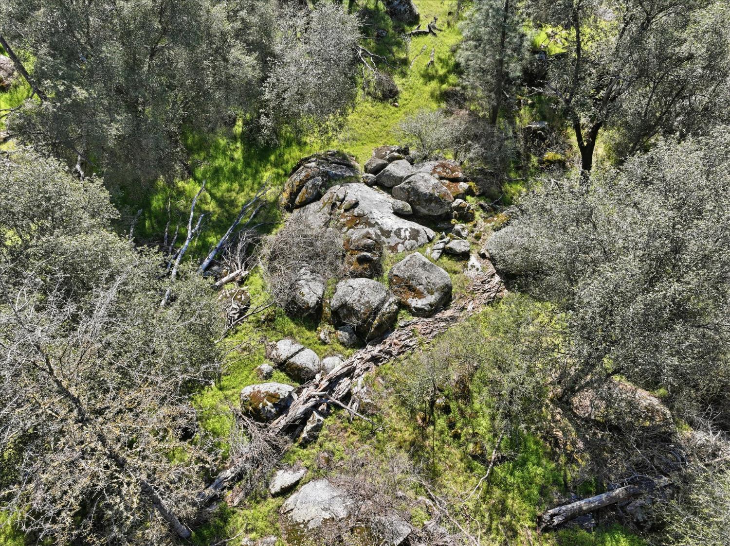 4260 Burl Dr, Mariposa, CA 95338