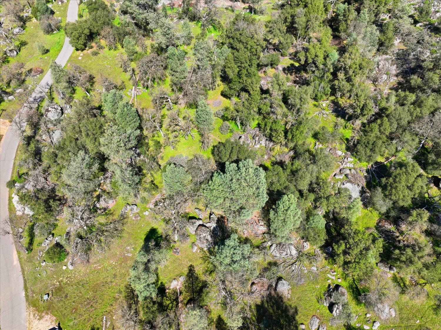 4260 Burl Dr, Mariposa, CA 95338