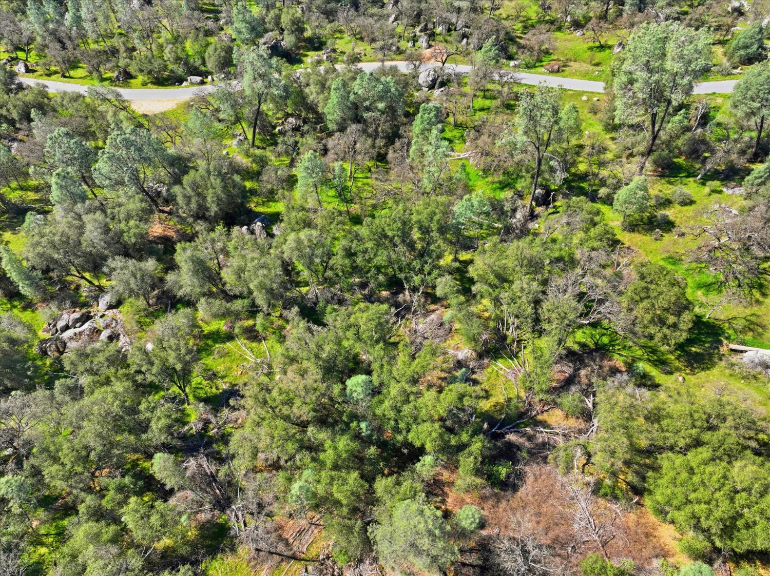 4260 Burl Dr, Mariposa, CA 95338