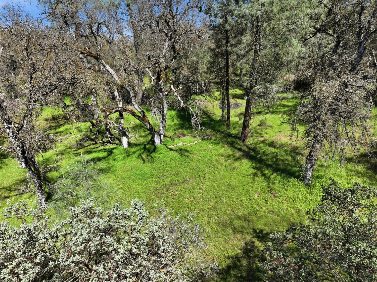 4260 Burl Dr, Mariposa, CA 95338