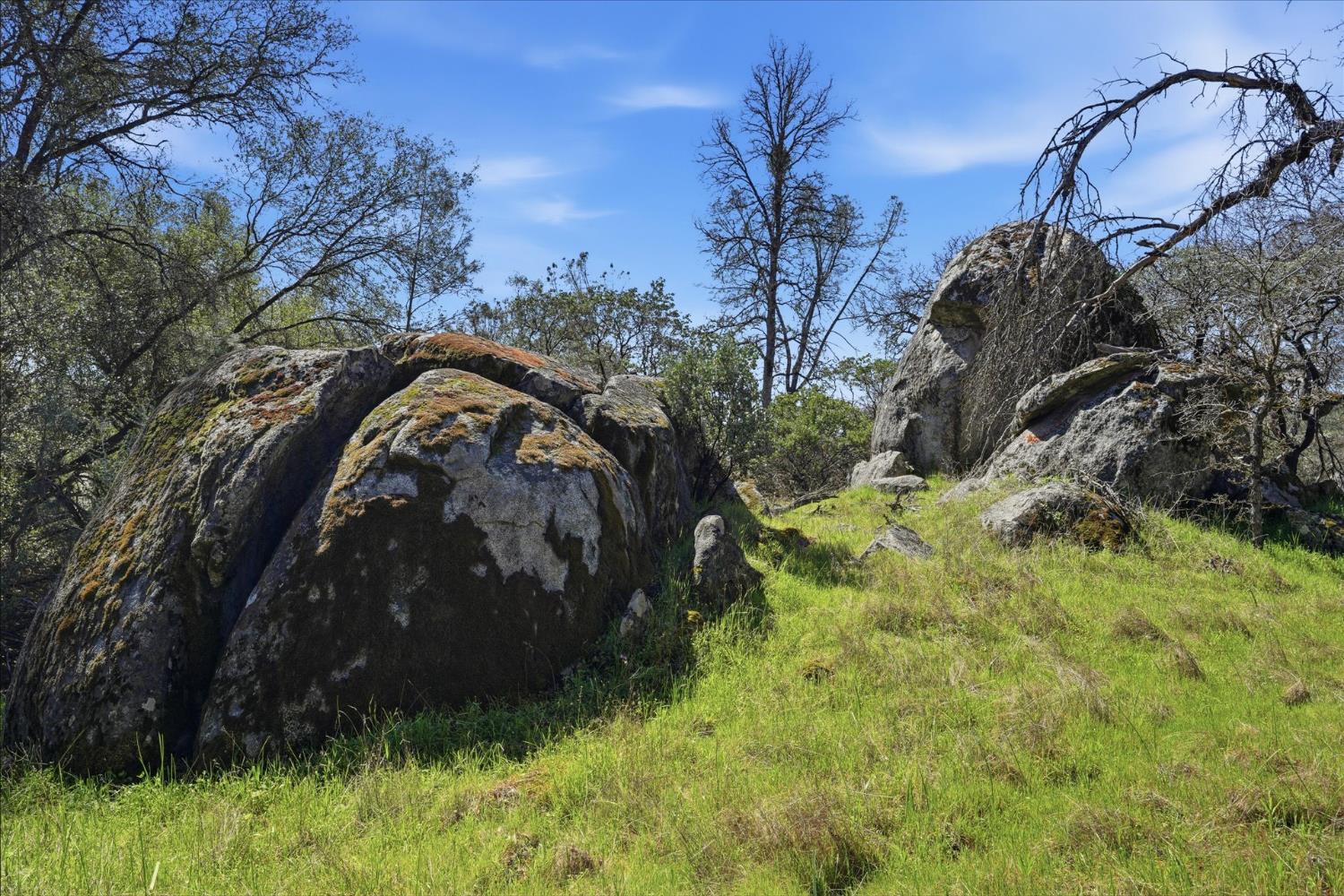 4260 Burl Dr, Mariposa, CA 95338