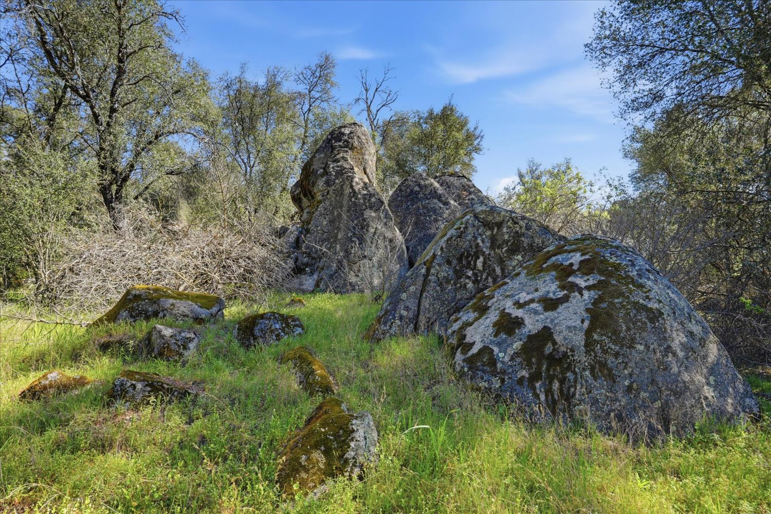 4260 Burl Dr, Mariposa, CA 95338