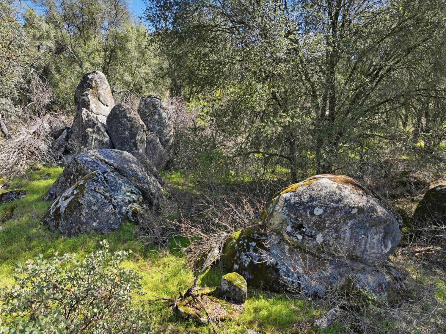 4260 Burl Dr, Mariposa, CA 95338