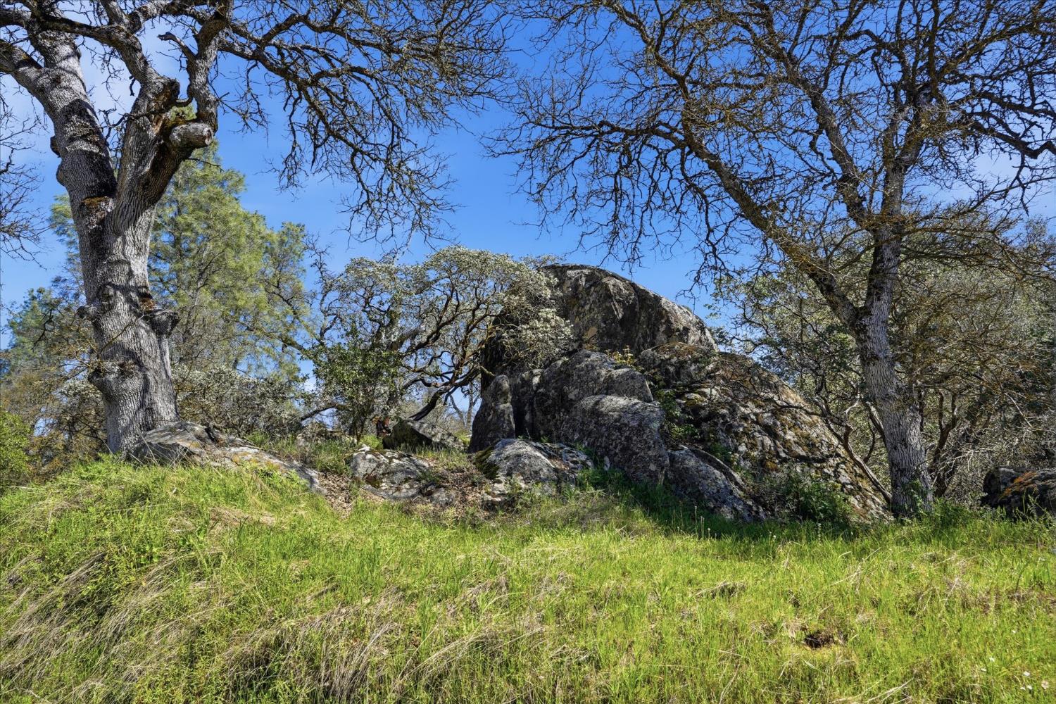 4260 Burl Dr, Mariposa, CA 95338