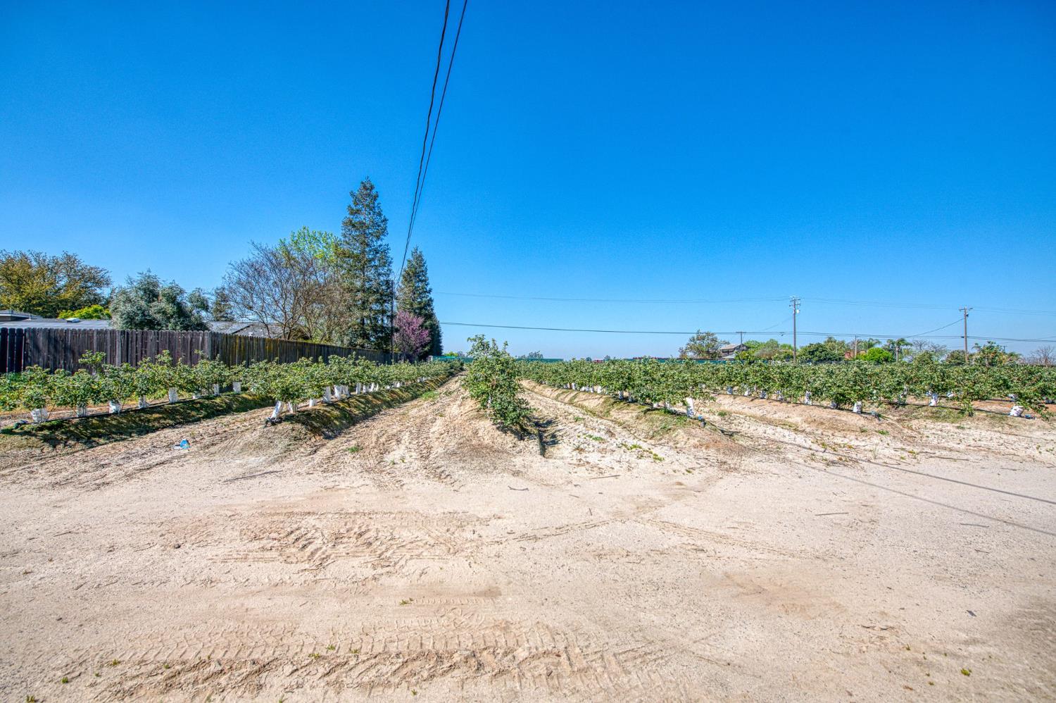 5650 S De Wolf Ave, Fowler, CA 93625