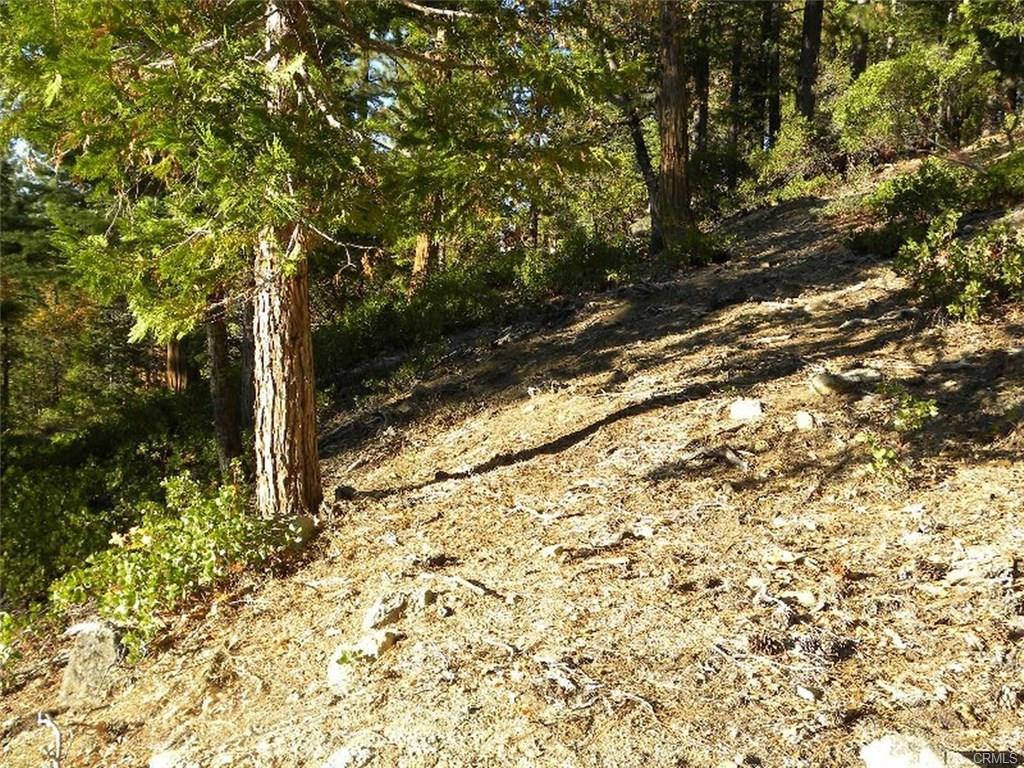 7486 Henness Ridge, Yosemite West, CA 95389